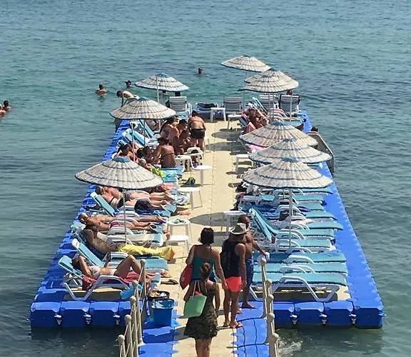 Sultans And Kings 3*